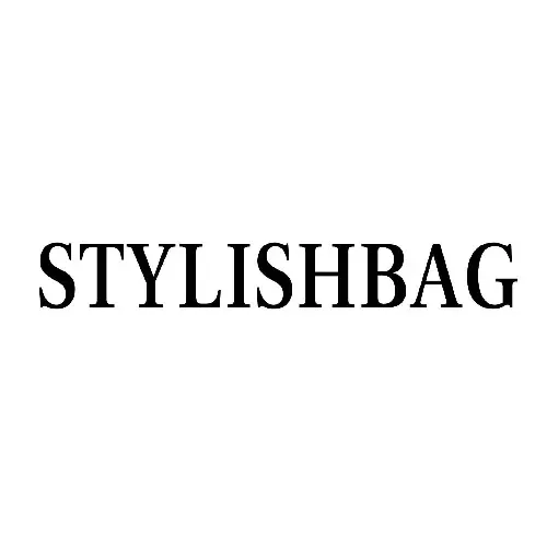 stylish bag